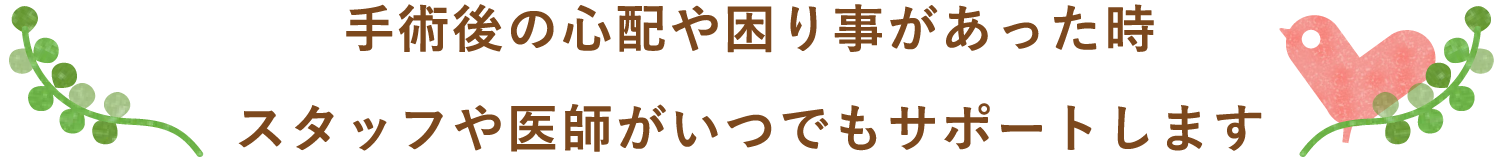 スタッフや医師がいつでもサポート