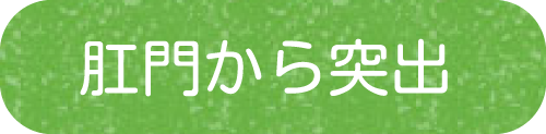 肛門から突出